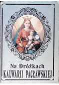 Na dróżkach Kalwarii Pacławskiej
