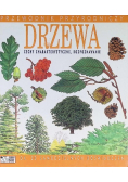Drzewa cechy charakterystyczne rozpoznawanie