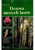 Drzewa naszych lasów