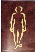 Anatomia człowieka repetytorium