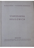 Starodawna Kruszwica