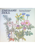 Zbieramy zioła