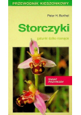 Storczyki