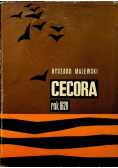 Cecora rok 1620