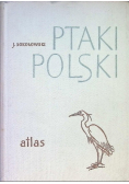 Ptaki Polski