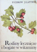 Rośliny lecznicze i bogate w witaminy