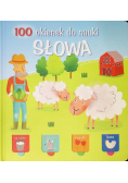 100 okienek do nauki. Słowa