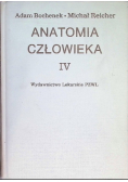 Anatomia człowieka Tom IV