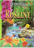 Rośliny