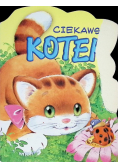 Ciekawski kotek