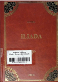 Homer Iliada
