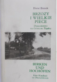 Brzozy i wielkie piece