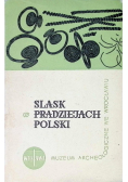 Śląsk w pradziejach Polski