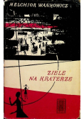 Ziele na kraterze