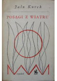 Posągi z wiatru