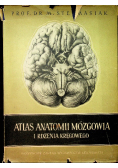 Atlas anatomii mózgowia i rdzenia kręgowego