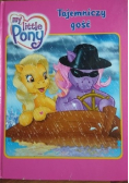 My Little Pony Tajemniczy gość
