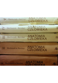 Anatomia człowieka Tom od I do V