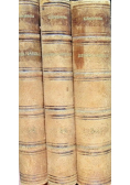 Jadwiga i Jagiełło 1374-1413 Tom I 1861 r.