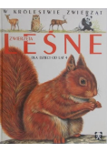 W królestwie zwierząt. Zwierzęta leśne