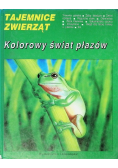 Tajemnice zwierząt kolorowy świat płazów