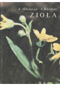 Zioła