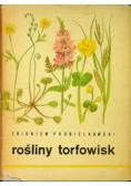 Rośliny Torfowisk