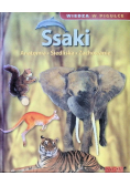 Ssaki