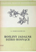 Rośliny jadalne dziko rosnące