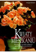 Kwiaty w mieszkaniu
