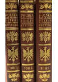 Polska jej dzieje i kultura od czasów najdawniejszych aż do chwili obecnej 1927 - 1930 Tom 1 do 3