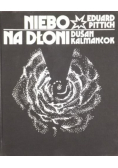Niebo na dłoni