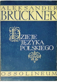 Dzieje języka polskiego