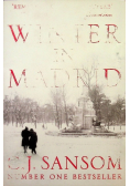 Winter in Madrid