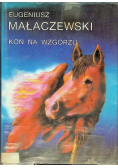Koń na wzgórzu