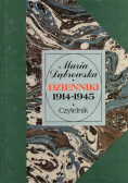 Dzienniki 1914 - 1945