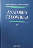 Anatomia człowieka Tom 5
