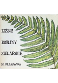 Leśne rośliny zielarskie