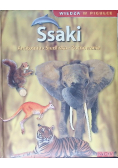 Ssaki