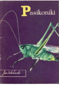 Pasikoniki