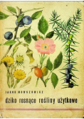 Dziko rosnące rośliny użytkowe