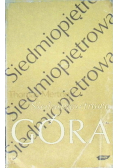 Siedmiopiętrowa góra