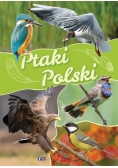 Ptaki Polski