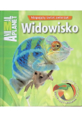 Widowisko