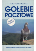 Gołębie pocztowe