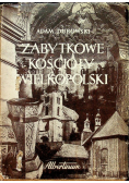 Zabytkowe kościoły Wielkopolski