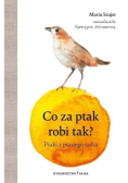 Co za ptak robi tak