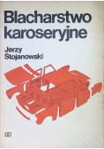 Blacharstwo karoseryjne