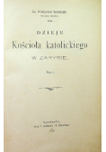 Dzieje Kościoła Katolickiego w zarysie, Tom I, 1902 r.