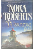 Wzburzone fale